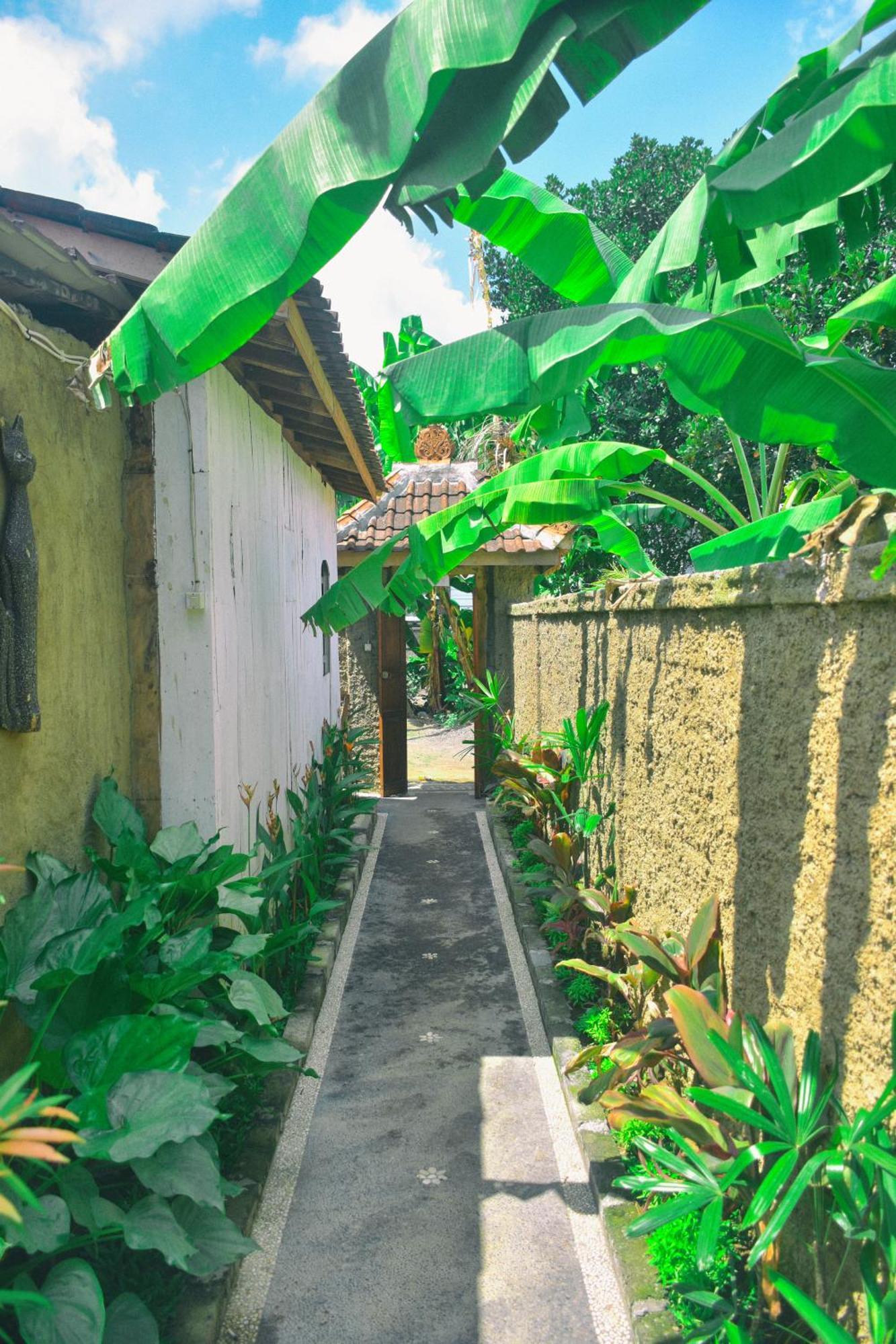 Ume Sita Villa And Homestay อูบุด ภายนอก รูปภาพ